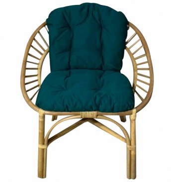 Кресло RJG-Princess (Ротанг №4, ткань JPN DRILL 034) в Вилюйске - mebel154.com
