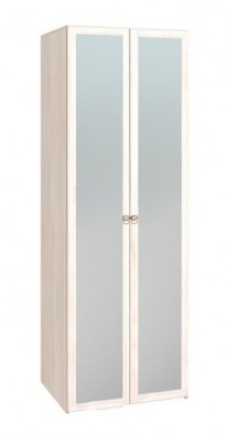 Шкаф для одежды 2-х дверный с зеркалом 54-2 Бриз в Вилюйске - mebel154.com