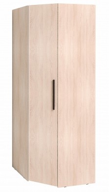 Шкаф для одежды угловой 12 Bauhaus в Вилюйске - mebel154.com