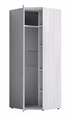 Шкаф для одежды угловой 56-2 Paola в Вилюйске - mebel154.com